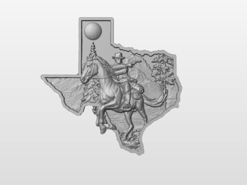 Texas & Cowboy